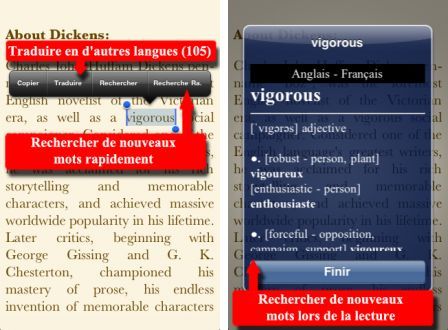 livres-dictionnaires-french-reader-1 livres-dictionnaires-french-reader-1