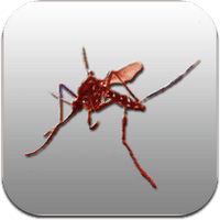 mosquito-1 mosquito-1