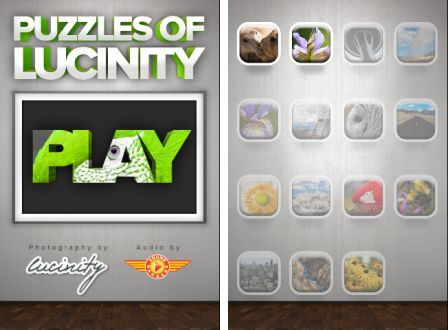 puzzles-of-lucinity-1 puzzles-of-lucinity-1