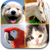 cute-pets-slideshow-wallpapers-hd-1 cute-pets-slideshow-wallpapers-hd-1