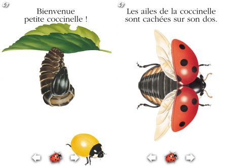 la-coccinelle-pour-iphone-1