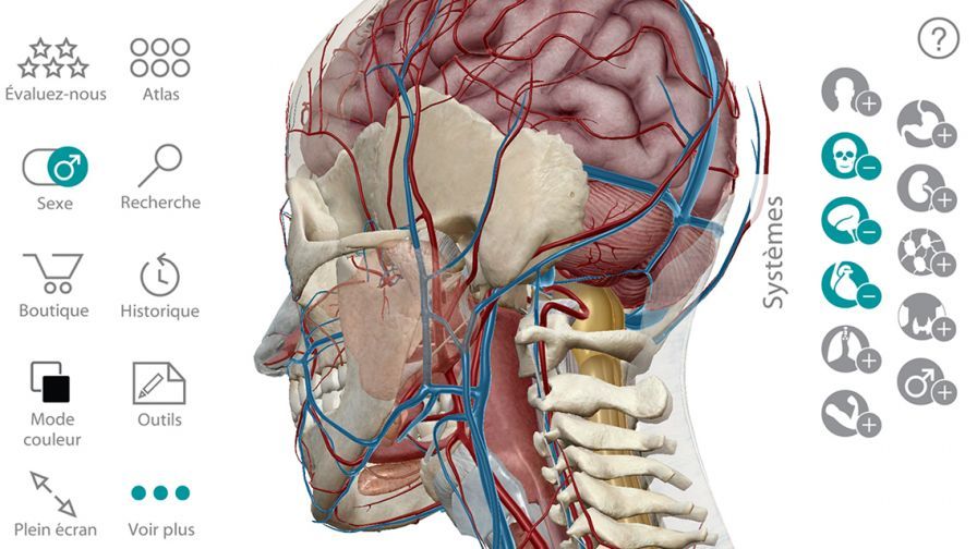 Анатомия 3. Атлас 3.0. Atlas Anatomie Romania.