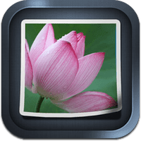 photo-discover photo-discover
