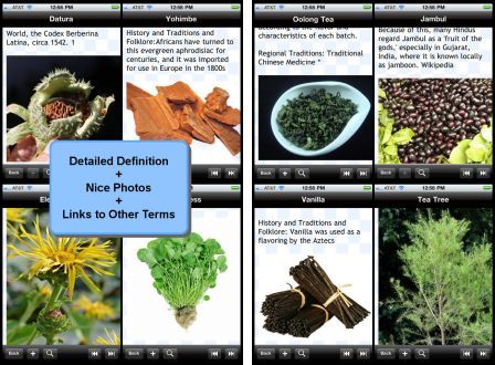 medicinal-herbs-bible-1 medicinal-herbs-bible-1