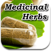 medicinal-herbs-bible-1