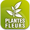 des-fleurs-et-des-plantes-for-iphone-1