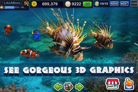 tap-reef-2 tap-reef-2