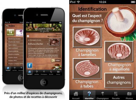 champignons-en-poche-1