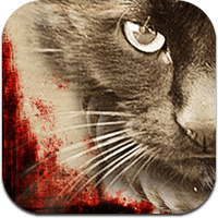 le-chat-noir-ed le-chat-noir-ed