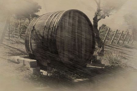 moviecam-go moviecam-go