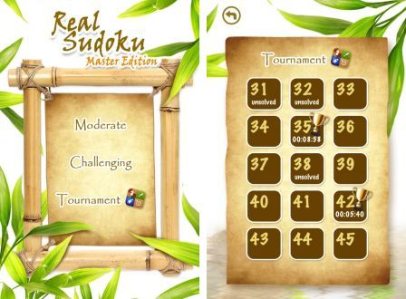 real-sudoku-master-edition-1