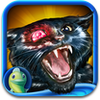 le-chat-noir-par-edgar-allan-poe-dark-tales-hd-full-ipad