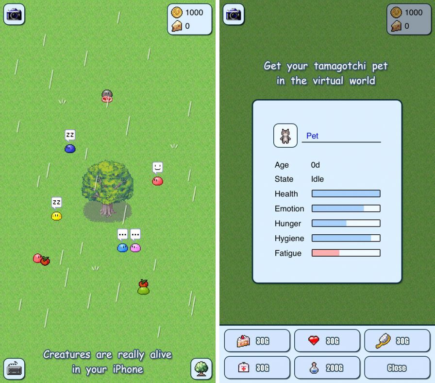 virtual-life ipa virtual-life ipa