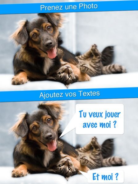 perfect-caption perfect-caption