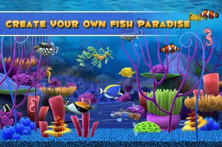 fish-paradise fish-paradise