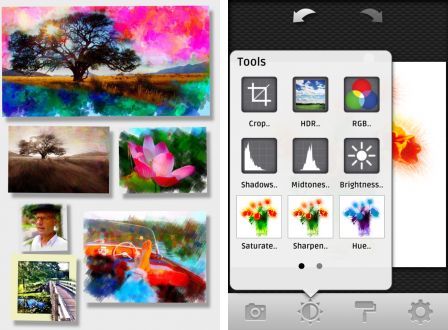 photoviva-1 photoviva-1