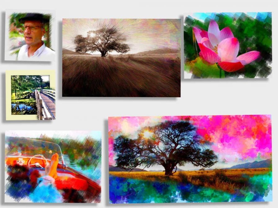 photoviva ipa photoviva ipa