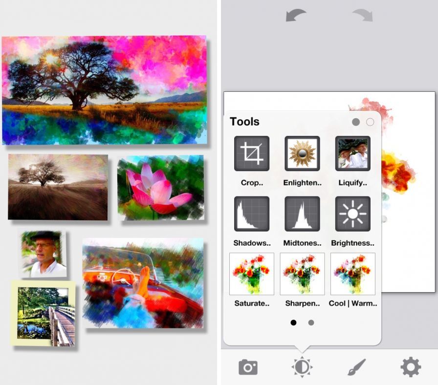 photoviva ipa photoviva ipa