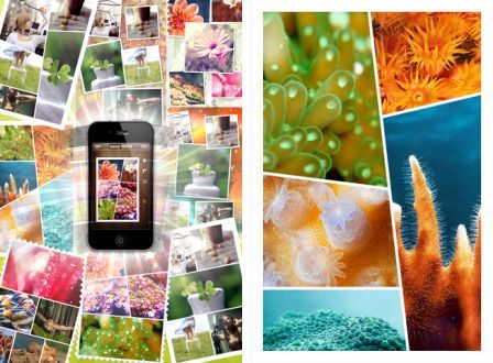 photos-wall-1 photos-wall-1