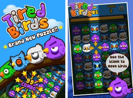 tired-birds-1 tired-birds-1