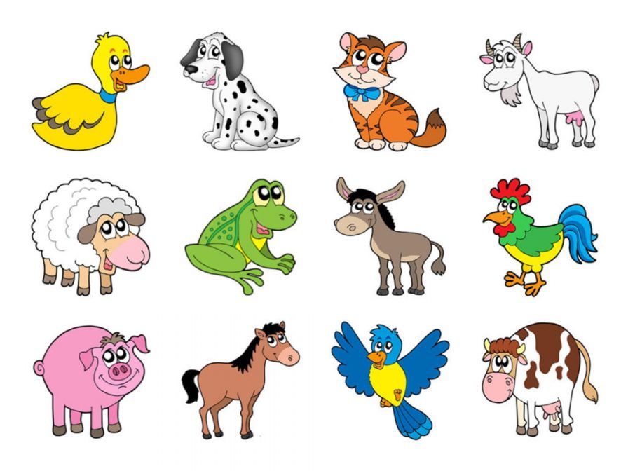 video-touch-animaux ipa video-touch-animaux ipa