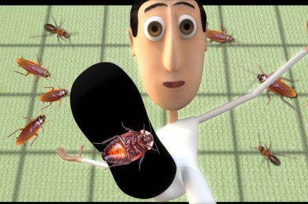 frantic-freddy-bug-stomp frantic-freddy-bug-stomp