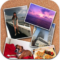 fun-collages-1 fun-collages-1