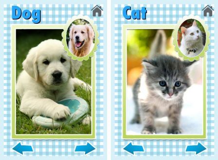 zoola-baby-animals-1 zoola-baby-animals-1