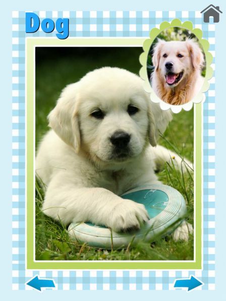 zoola-baby-animals-ipad