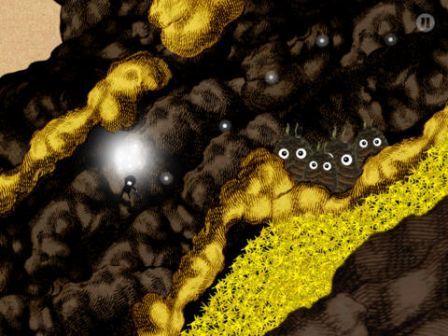 sir-benfro-aos- sir-benfro-aos-