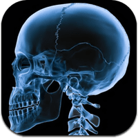 handy-anatomy-1 handy-anatomy-1