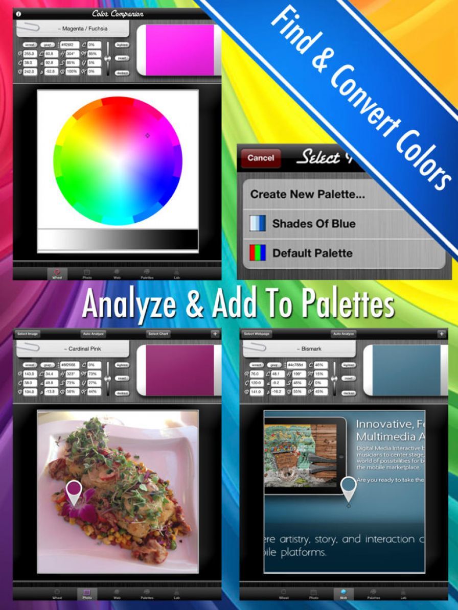 compagnon-de-couleur-l-analyse ipa compagnon-de-couleur-l-analyse ipa