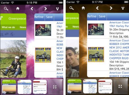 panoramic-web-browser-1 panoramic-web-browser-1