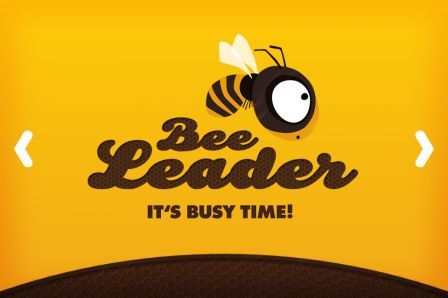 bee-leader bee-leader