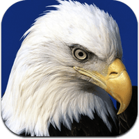 bird-jigsaw ipa iphone ipad