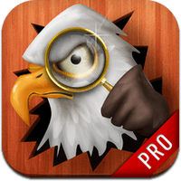 eagle-eye-full-ipad