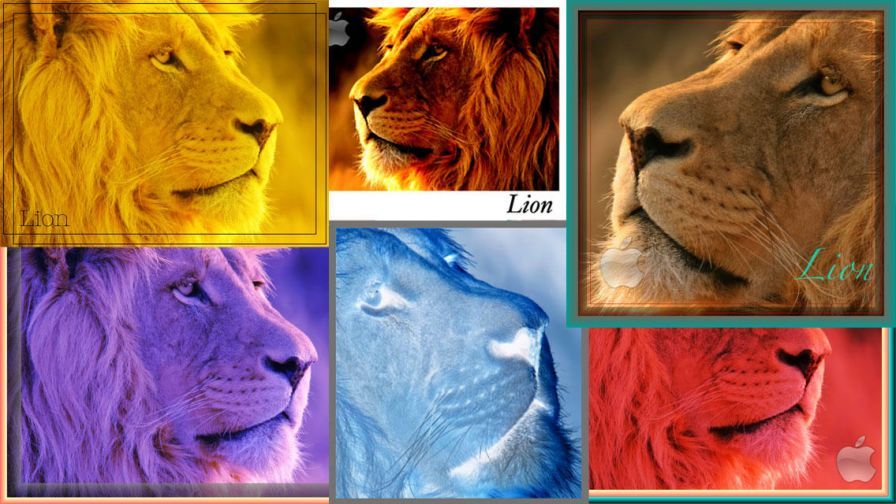 lightphoto-bodi lightphoto-bodi