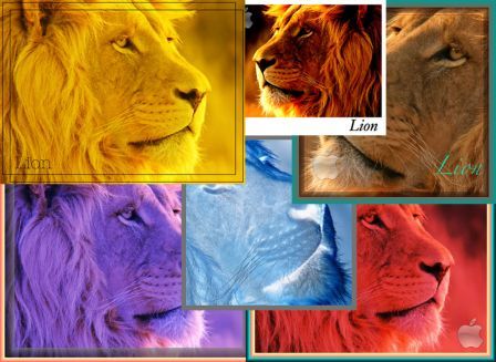 retouche-des-photos-lightphoto-ipad