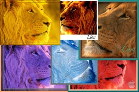 retouche-des-photos-lightphoto retouche-des-photos-lightphoto