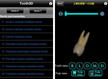 tooth-3d-1 tooth-3d-1