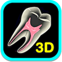 tooth-3d-ipad