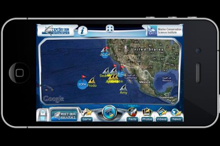 expedition-white-shark expedition-white-shark