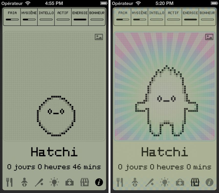 hatchi-un-animal-domestique-rb ipa hatchi-un-animal-domestique-rb ipa