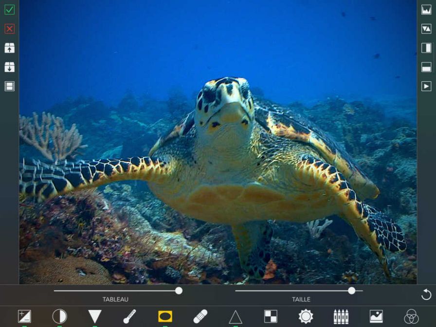 videograde-boditeur-de-couleur ipa videograde-boditeur-de-couleur ipa