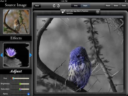 image-tinting-ipad