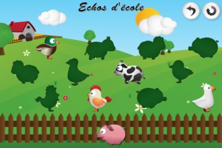 echos-d-b-cole-observation echos-d-b-cole-observation