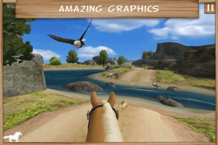 pony-trails pony-trails