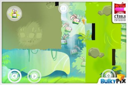 kung-fu-rabbit kung-fu-rabbit