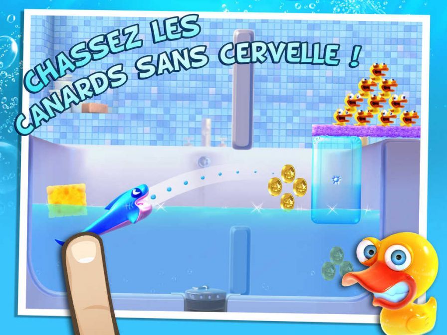 shark-dash ipa shark-dash ipa