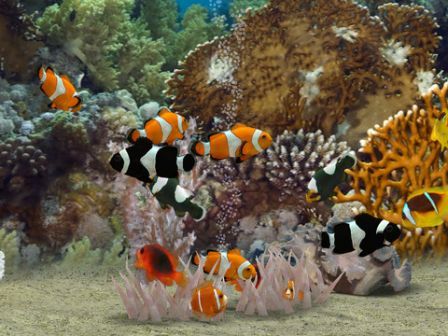 myreef-3d-aquar myreef-3d-aquar